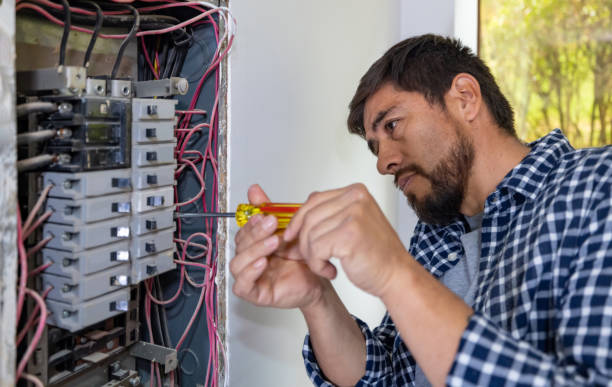 Best Ceiling Fan Installation Electrician  in Livingston, TX
